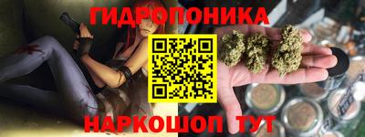 эйфоретик Малгобек